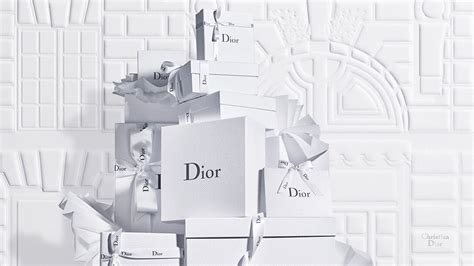 christian dior france website|dior france official website.